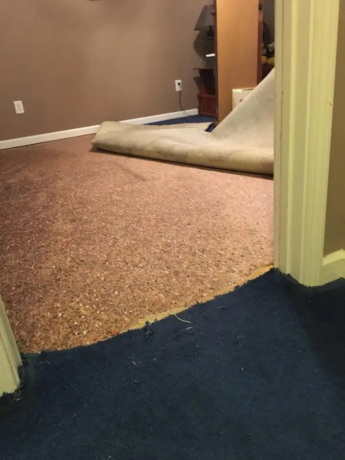 Carpet pad removal revealing water damage during Drying & Dehumidification in Winona