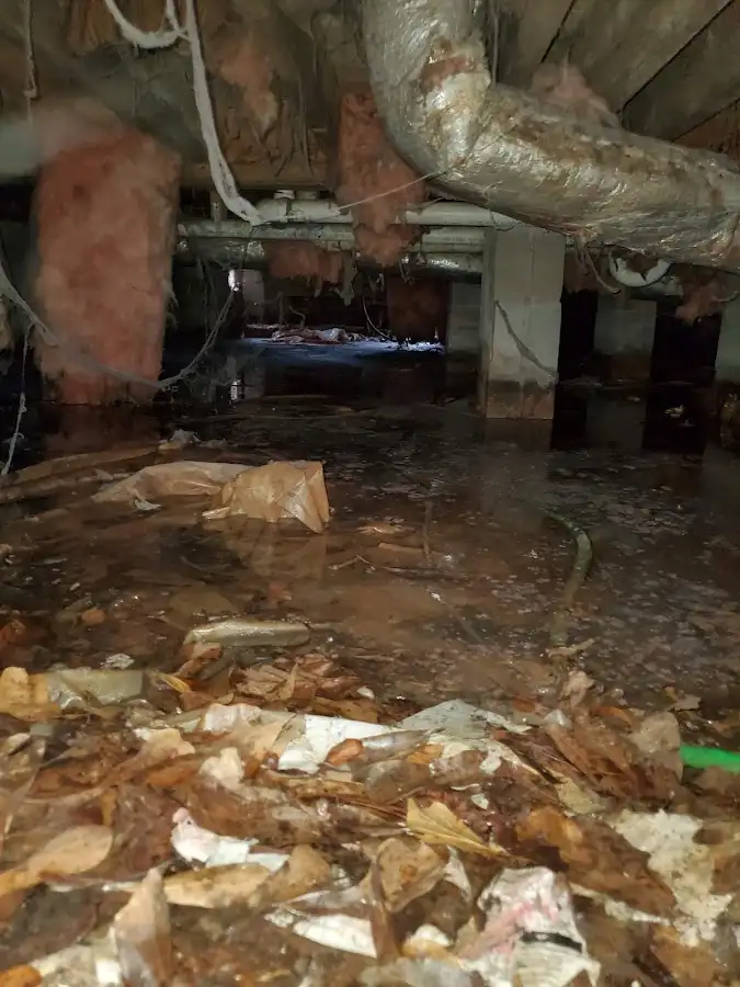 Crawl space flood assessment for Leak Detection & Repair in Winona