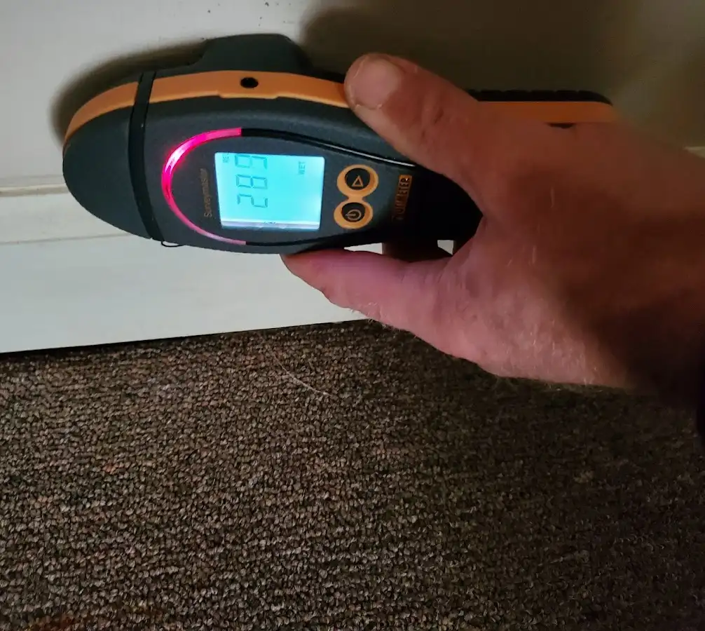 Moisture detection at baseboard during Sewage Cleanup & Sanitation in Winona